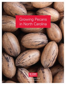 cover of Growing Pecans in North Carolina