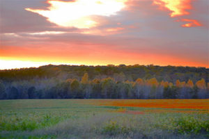 Cover photo for Forestry and Hunting Meeting - Tuesday, June 5