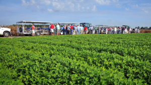 Peanut farmers tour the Peanut Belt Research Station outside Lewiston-Woodville, NC, during a Peanut Field Day.