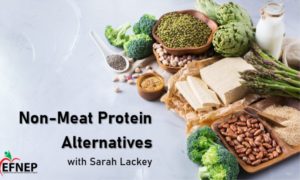 Cover photo for Non-Meat Protein Alternatives