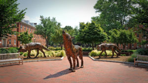 Three copper wolf structures on central campus at NC State University