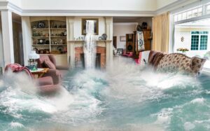 Cover photo for How to Prepare for a Natural Disaster