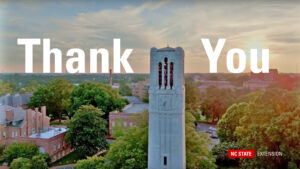 An aerial image of the NC State Memorial Belltower at sunrise, with "Thank You" displayed in text across the top of the image.